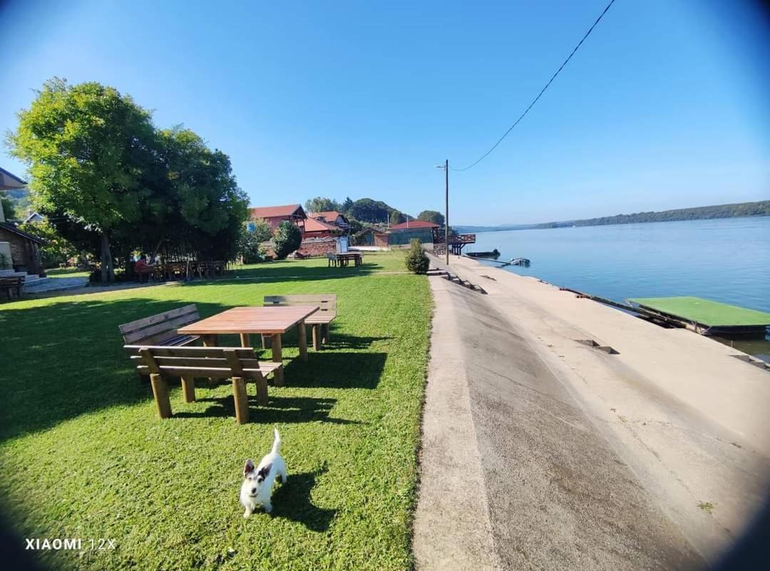 Vila Maza Smederevo Ngoại thất bức ảnh